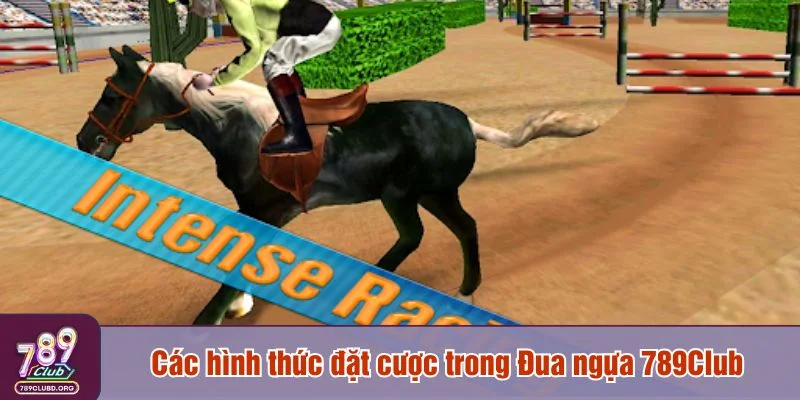 Nền tảng cung cấp đầy đủ kiểu cược phổ biến